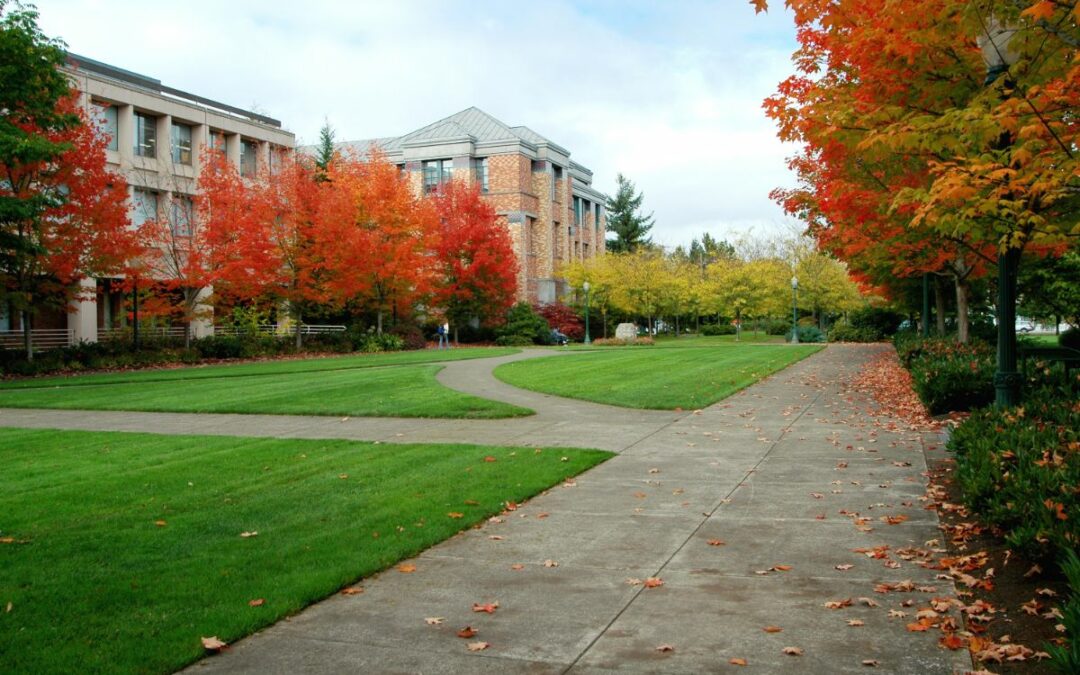 Best Printers for School Campuses