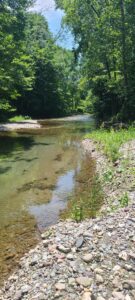 Vermont creek Image