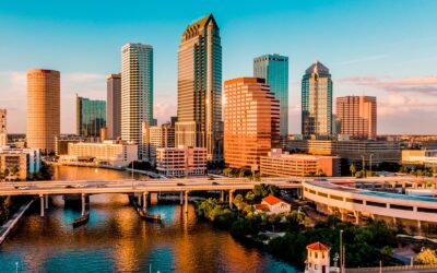 Copiers and Printers in Tampa: What Local Businesses Need to Know